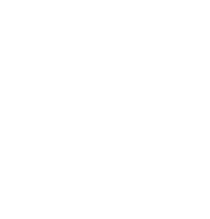 Škoda logo